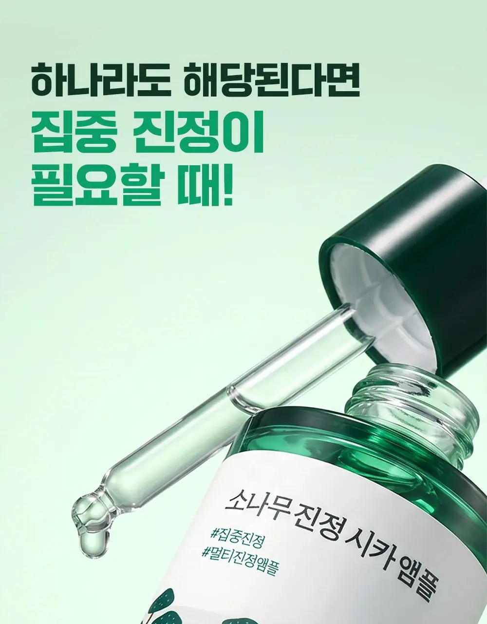 [최초트리플/집중진정] 라운드랩 소나무 진정 시카 앰플 30ml 트리플 기획 상세페이지 11